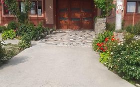 Casa Elena Eselnita